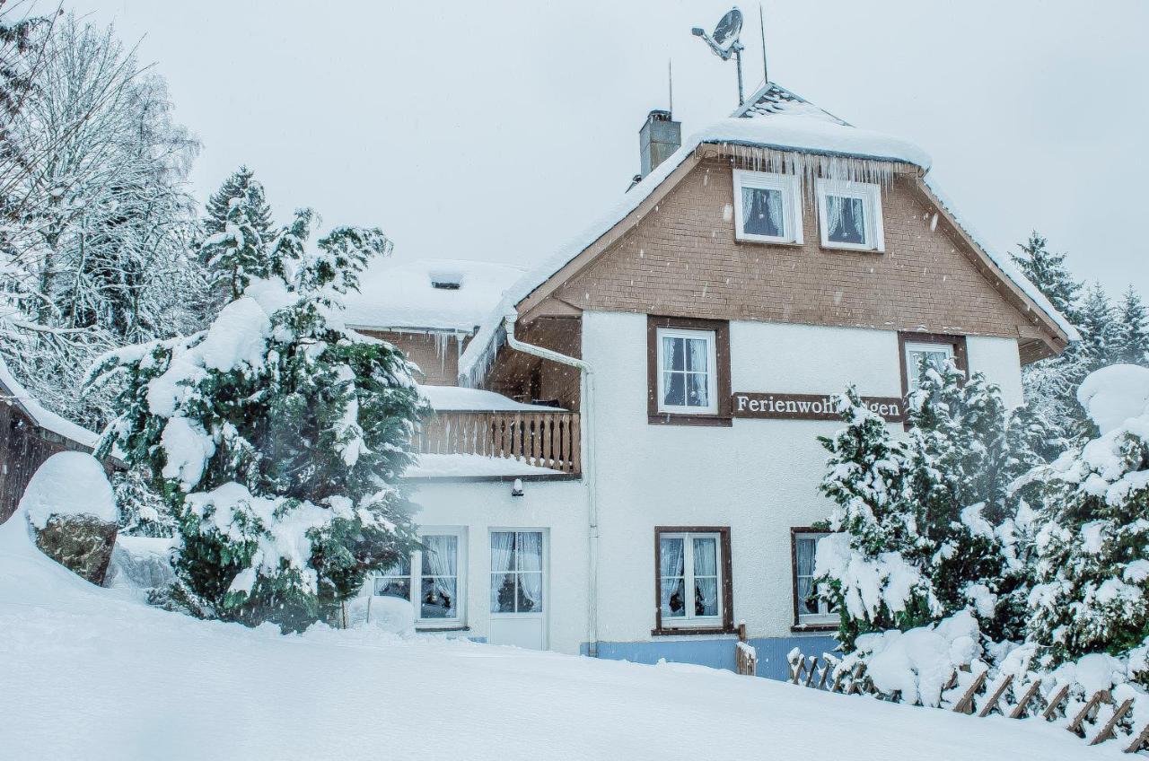 Schwarzwald Apartments Im Haus Tanneck - Feldberg - Titisee Esterno foto